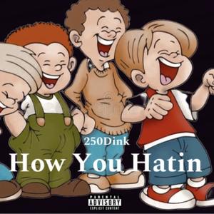 How You Hatin (Explicit)