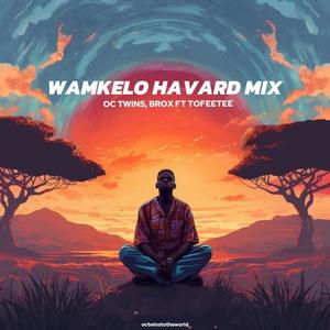 Wamkelo (feat. Brox & Tofeetee) (Havard Mix)