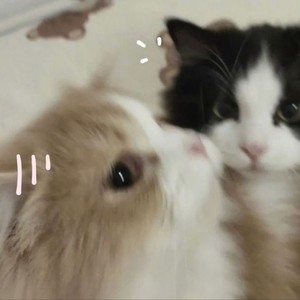 si te sientes cansada