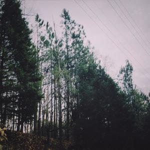 I Am Surrounded by the Chilling Flames of My Own Mistakes