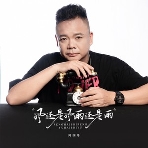 风还是风雨还是雨