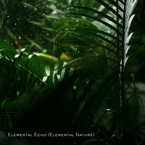 Elemental Echo (Elemental Nature)