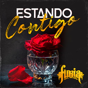 Estando Contigo