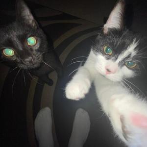 But like no! (feat. xaviersobased) (Explicit)