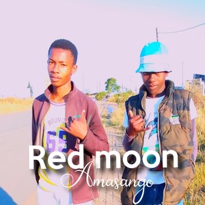 Amaphupho