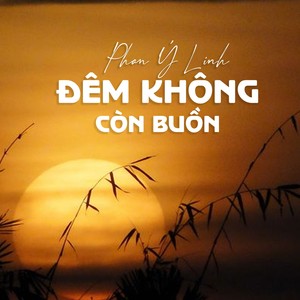 Đêm Không Còn Buồn