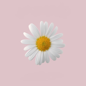 Go Outside (feat. Ayh Okay) (Explicit)