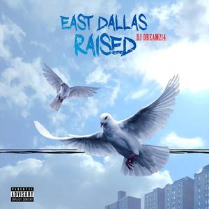 East Dallas Raised