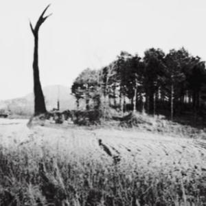 fangs (feat. sacreds, sxulz & zachmadethis) (Explicit)