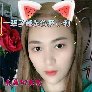 你就这样来了盗心的贼 (DJ版)