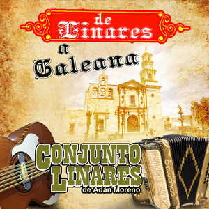 De Linares A Galeana Con