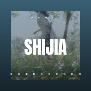 阿里山的姑娘 (DJ版)