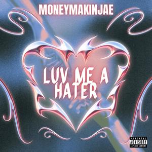 Luv Me A Hater (Explicit)