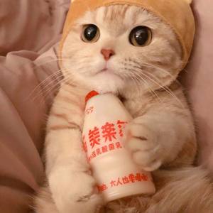 我的果汁分你一半