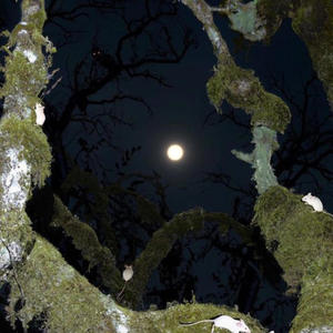 fwaniggalikeme (feat. jvstmari & kyrielight) (Explicit)