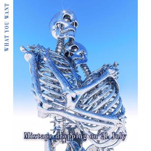 WHAT YOU WANT (feat. Yxung Fa$hiøn, Pxtient Ice & Dark McInsane) (Explicit)