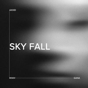 Skyfall (feat. GANA) (Remix)