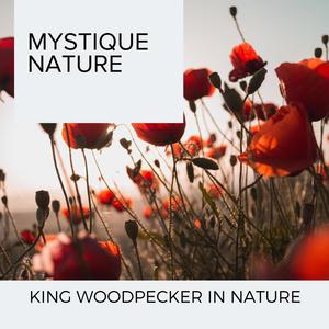 Mystique Nature - King Woodpecker in Nature