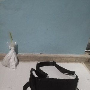Merpati ireng