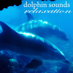 Dolphins Sounds Relaxation