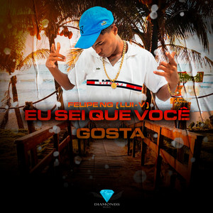 Eu Sei Que Você Gosta (Explicit)