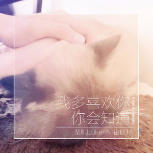 我多喜欢你，你会知道