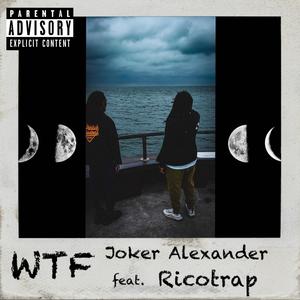 WTF (feat. Ricotrap) [Explicit]