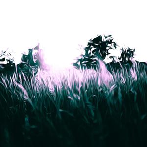 Wanderer (feat. Camden Riley)