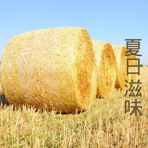 七里香 (Remix)