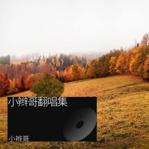 陪你牵手闯天涯