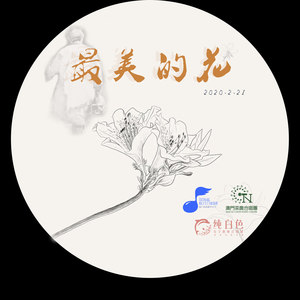 最美的花 (女声合唱版)