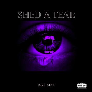 Shed A Tear (feat. NTB Nolekid) [Explicit]