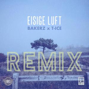 Eisige Luft (Remix)