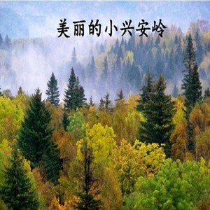 美丽的小兴安岭