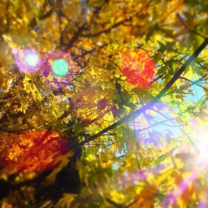 a long story (feat. galloper) (Explicit)