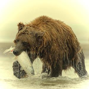 The Trifecta (feat. Jezus Borgia) (Explicit)