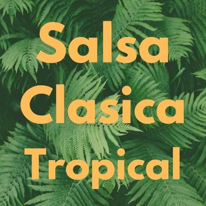 Salsa Clasica Tropical