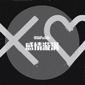 Childish Gambino-20/20 (张扬Public remix)