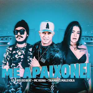 Me Apaixonei(feat. Thamires Malevola)(Brega Funk) (Explicit)