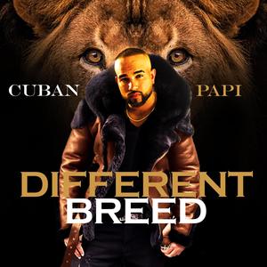 Different Breed (Explicit)