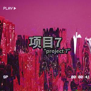 project 7 (Explicit)