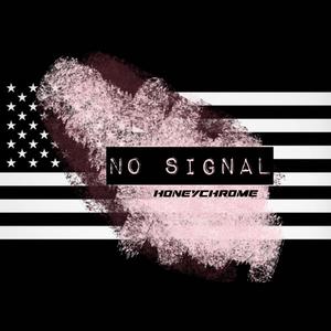 No Signal