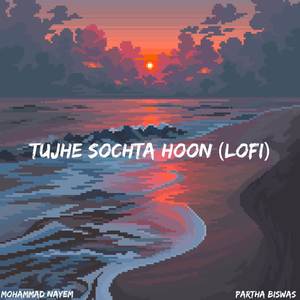 Tujhe Sochta Hoon (LoFi)