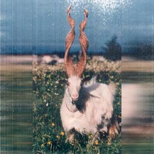 La Cadena (feat. Miarma) (Explicit)