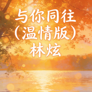 与你同往-林炫