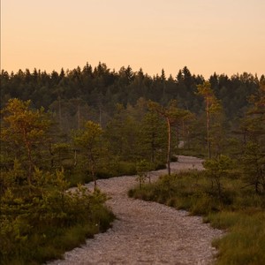 我们总是感慨岁月如梭