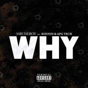 Why (feat. Kolyon & ApgTech) [Explicit]