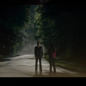 Damon & Elena