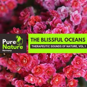 The Blissful Oceans - Therapeutic Sounds of Nature, Vol.1