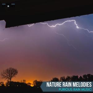 Nature Rain Melodies - Furious Rain Music